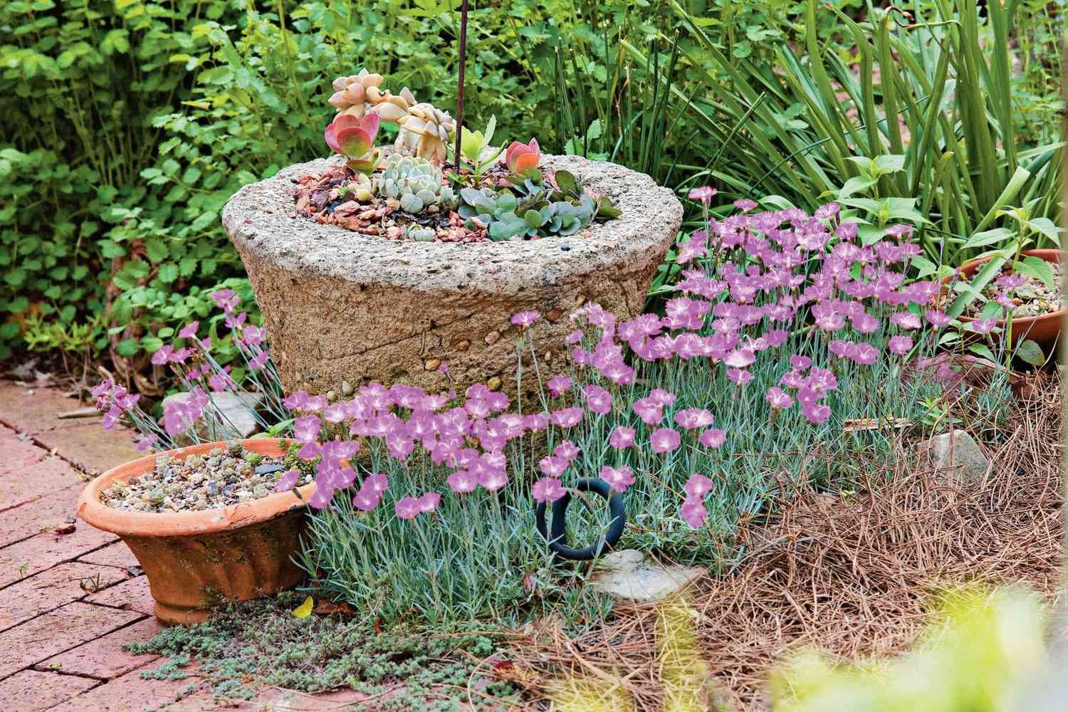 Incredible Container Gardening Ideas